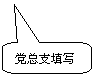 圆角矩形标注: 党总支填写